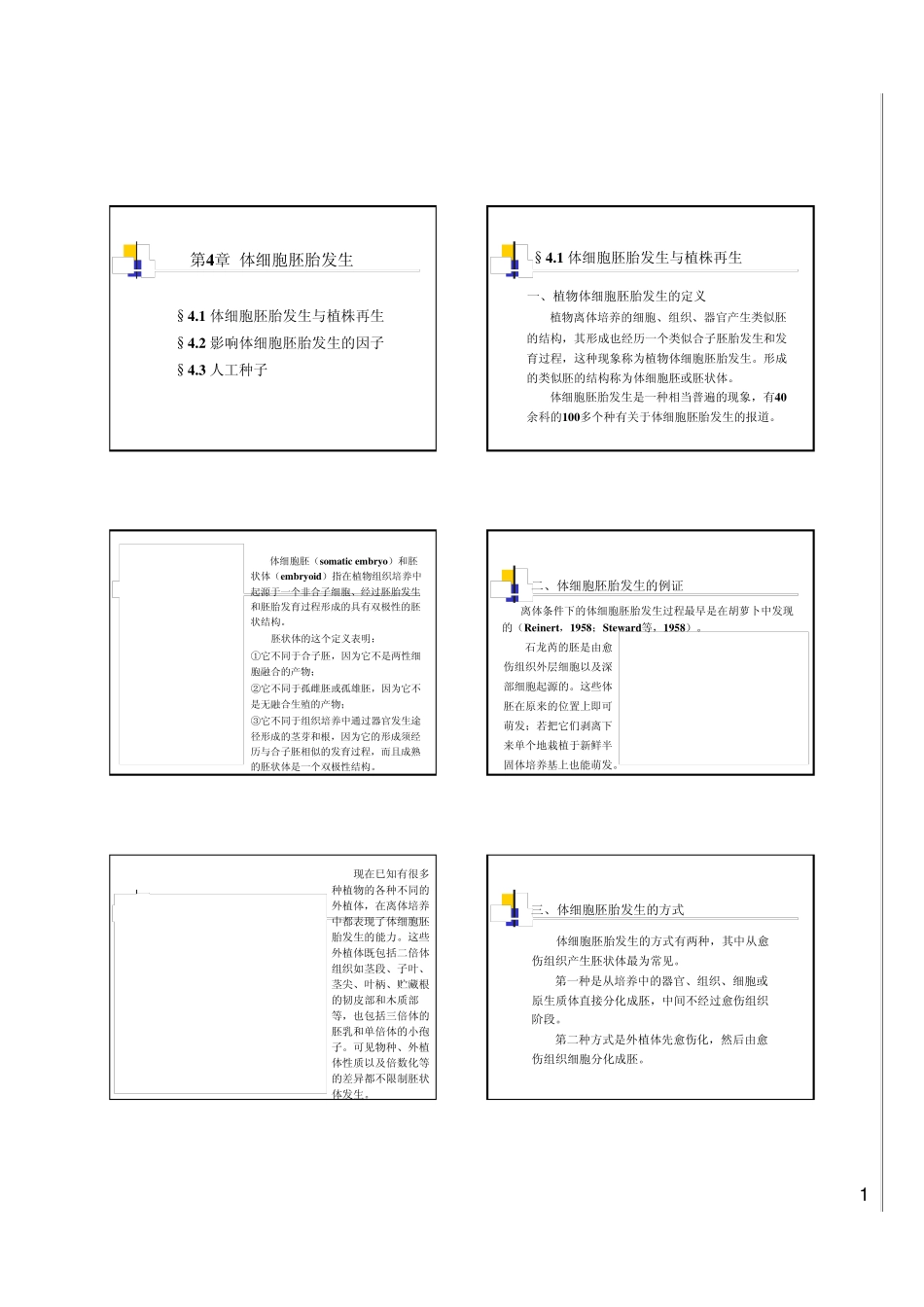 第4章体细胞胚胎发生_第1页