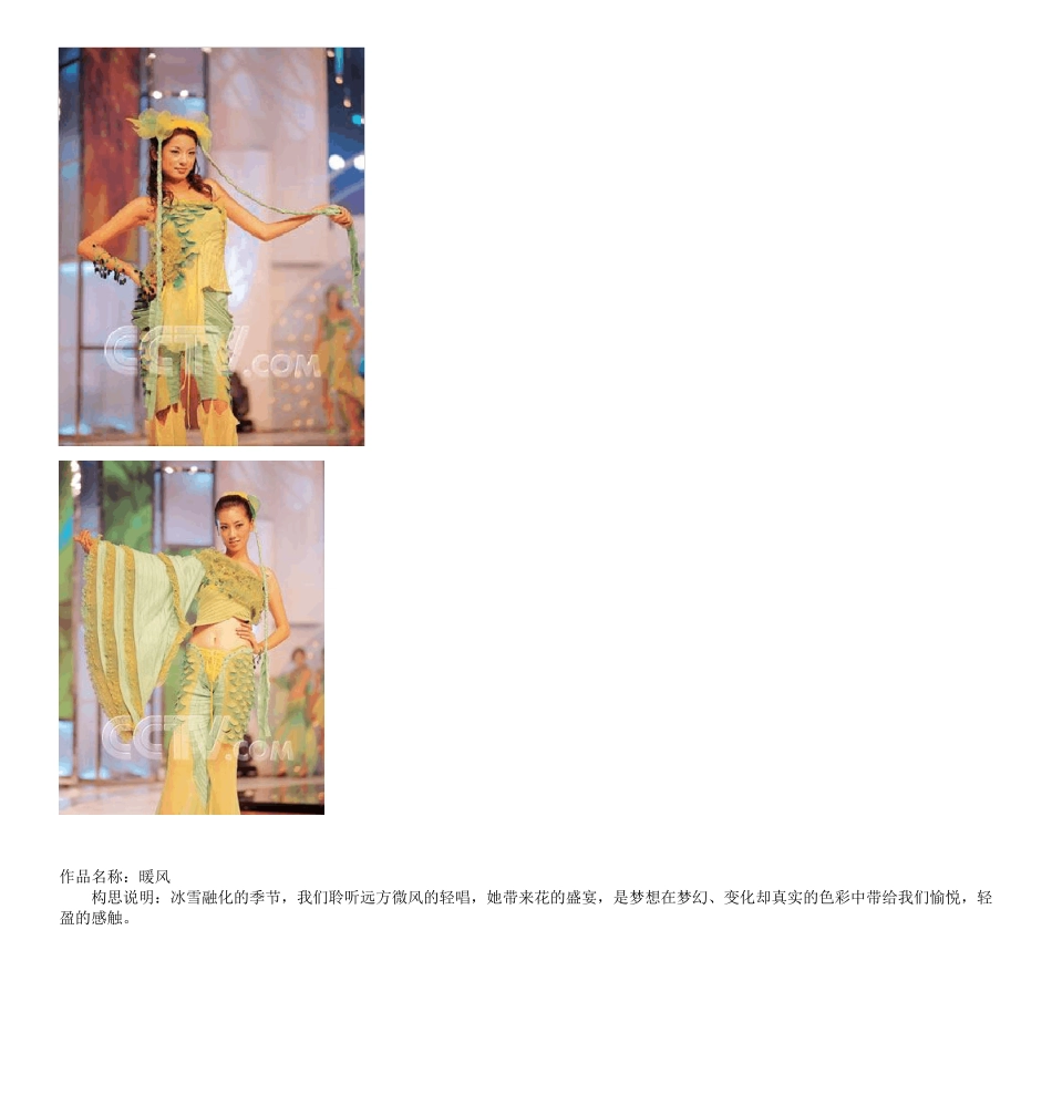 第5届CCTV服装设计大赛决赛入围作品效果图和服装展示_第2页