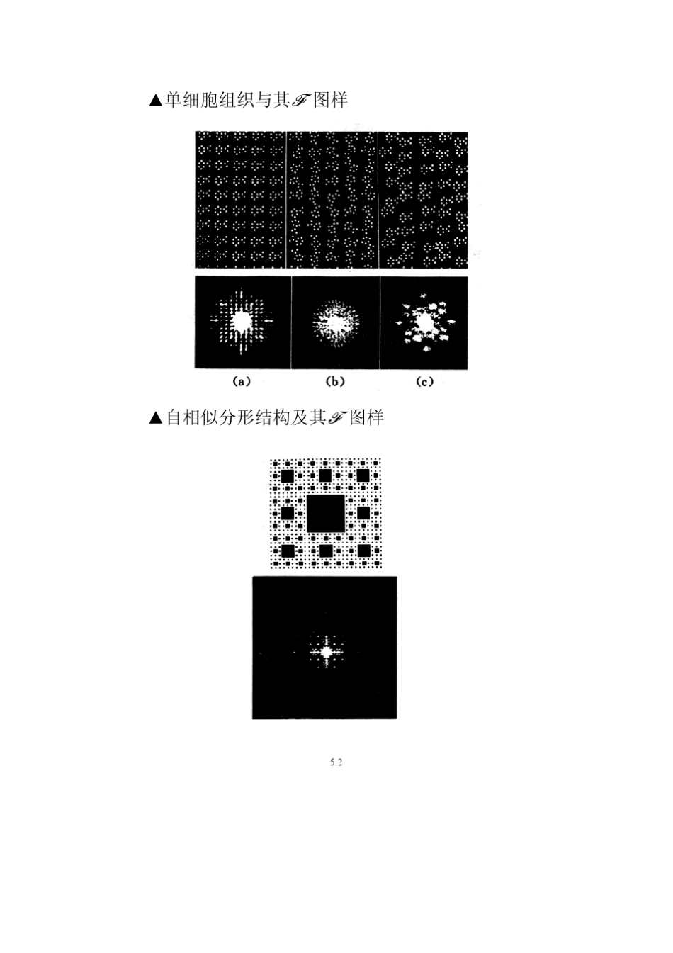 第5章多元多维结构衍射与分形光学_第2页