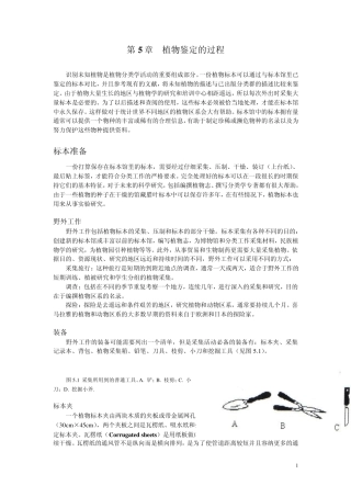第5章植物鉴定的过程