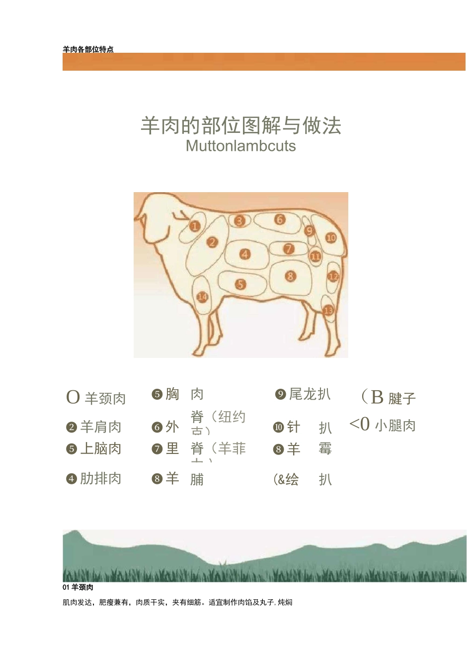 巨详细的羊肉各部位图解与做法_第1页