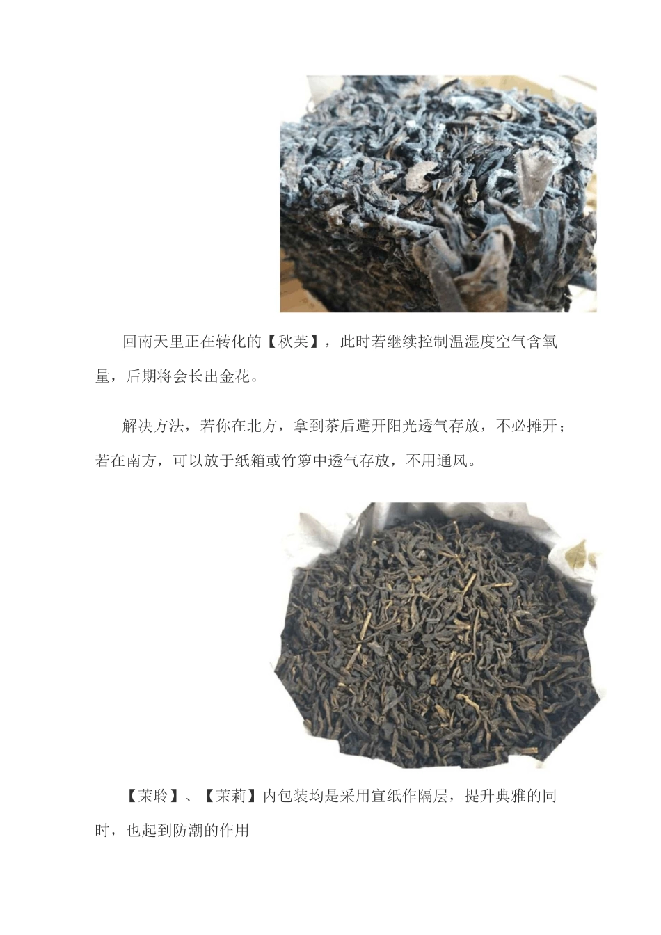 茶知识—六堡茶_第2页