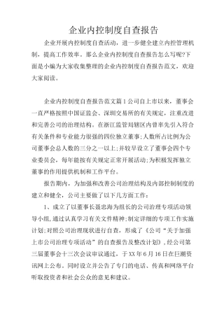 企业内控制度自查报告