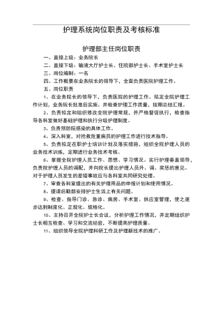 护理_系统岗位职责及考核标准-Word-文档