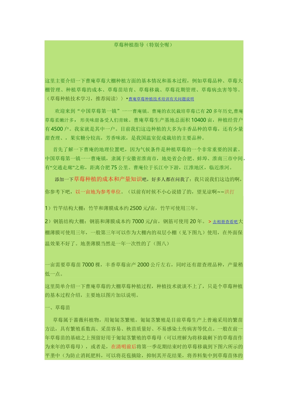 草莓种植指导(特别全喔)_第1页