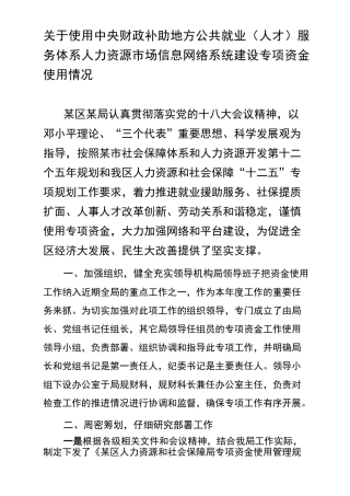 专项资金使用情况
