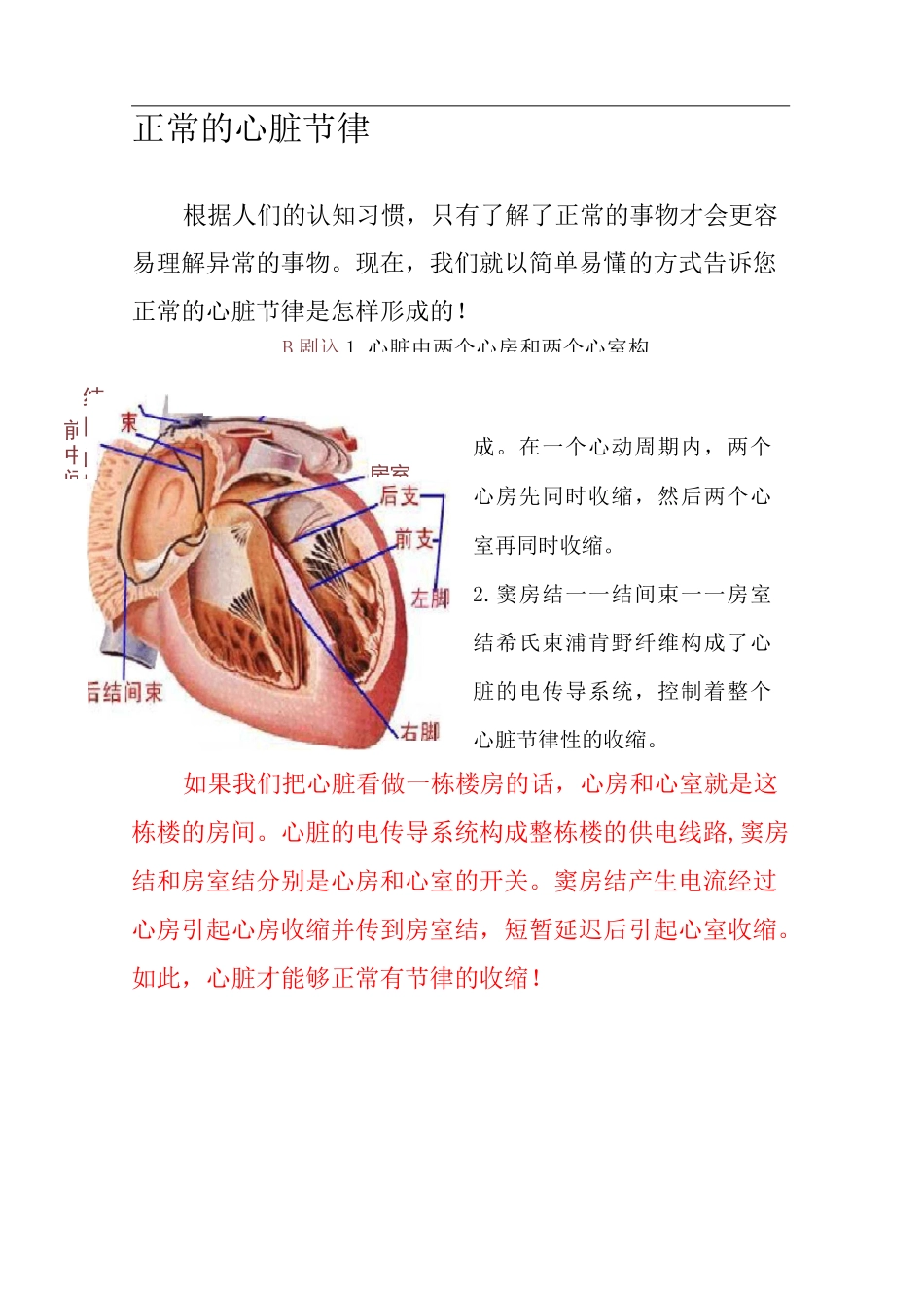 心律失常科普宣传手册_第1页