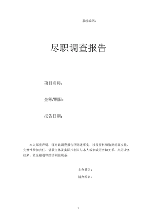 尽调报告模板
