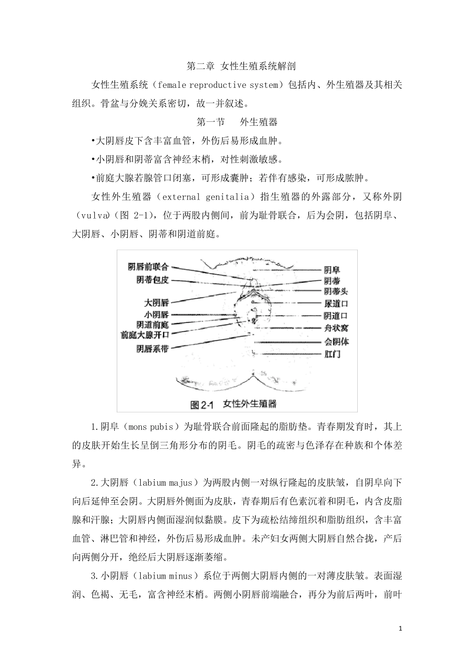 第9版妇产科学第二章女性生殖系统解剖_第1页