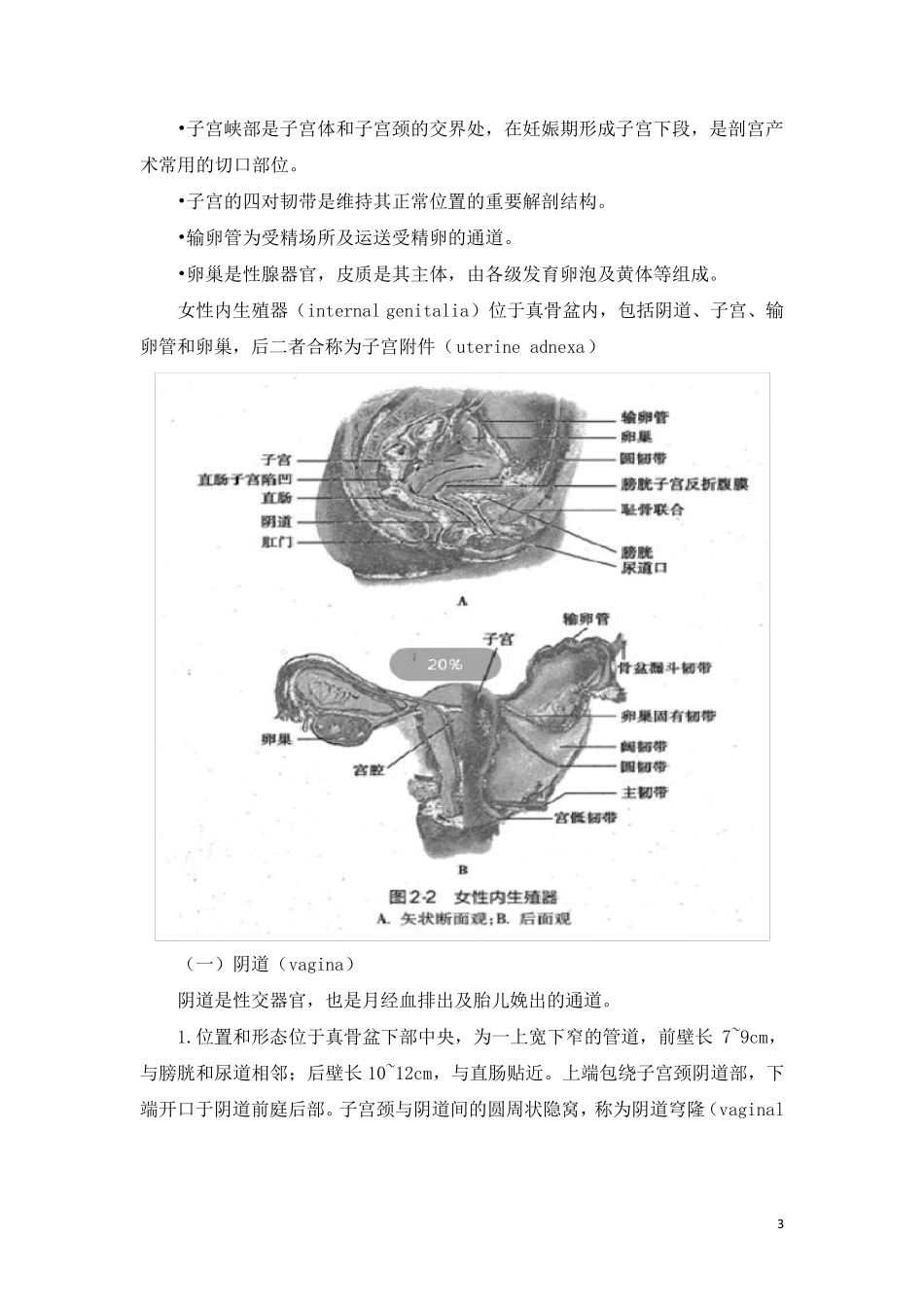 第9版妇产科学第二章女性生殖系统解剖_第3页