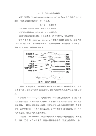 第9版妇产科学第二章女性生殖系统解剖