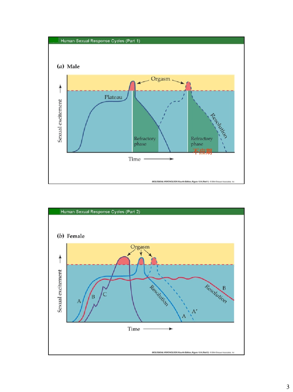 第9章生殖行为_第3页