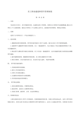 职业通道和晋升管理办法