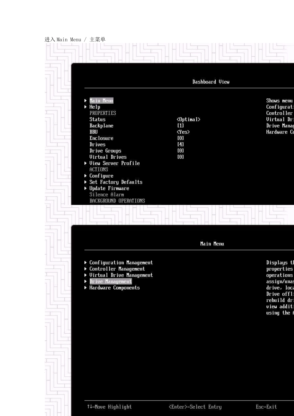 联想服务器X3850X6systemxBIOSraid配置_第3页