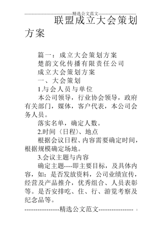 联盟成立大会策划方案