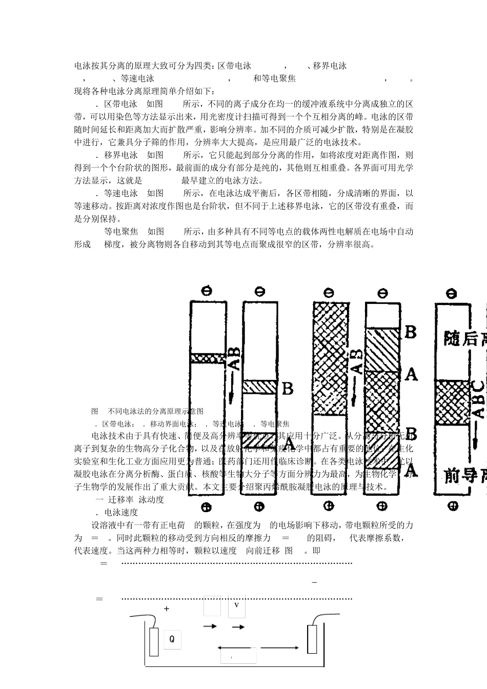 聚丙烯酰胺凝胶电泳方法及原理a_第2页