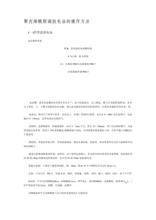 聚丙烯酰胺凝胶电泳的操作方法