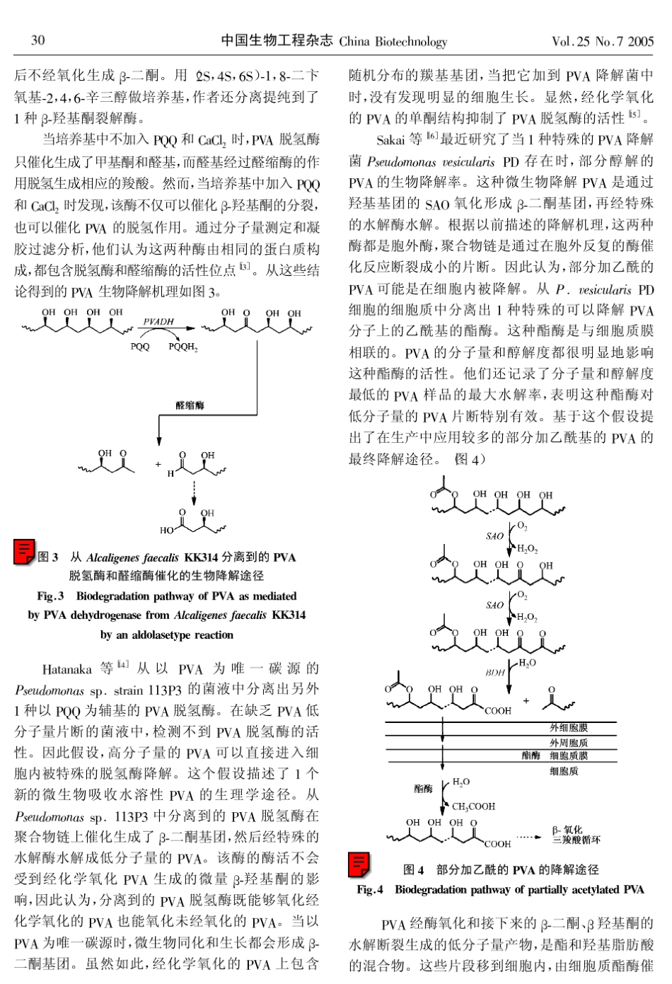 聚乙烯醇生物降解_第3页