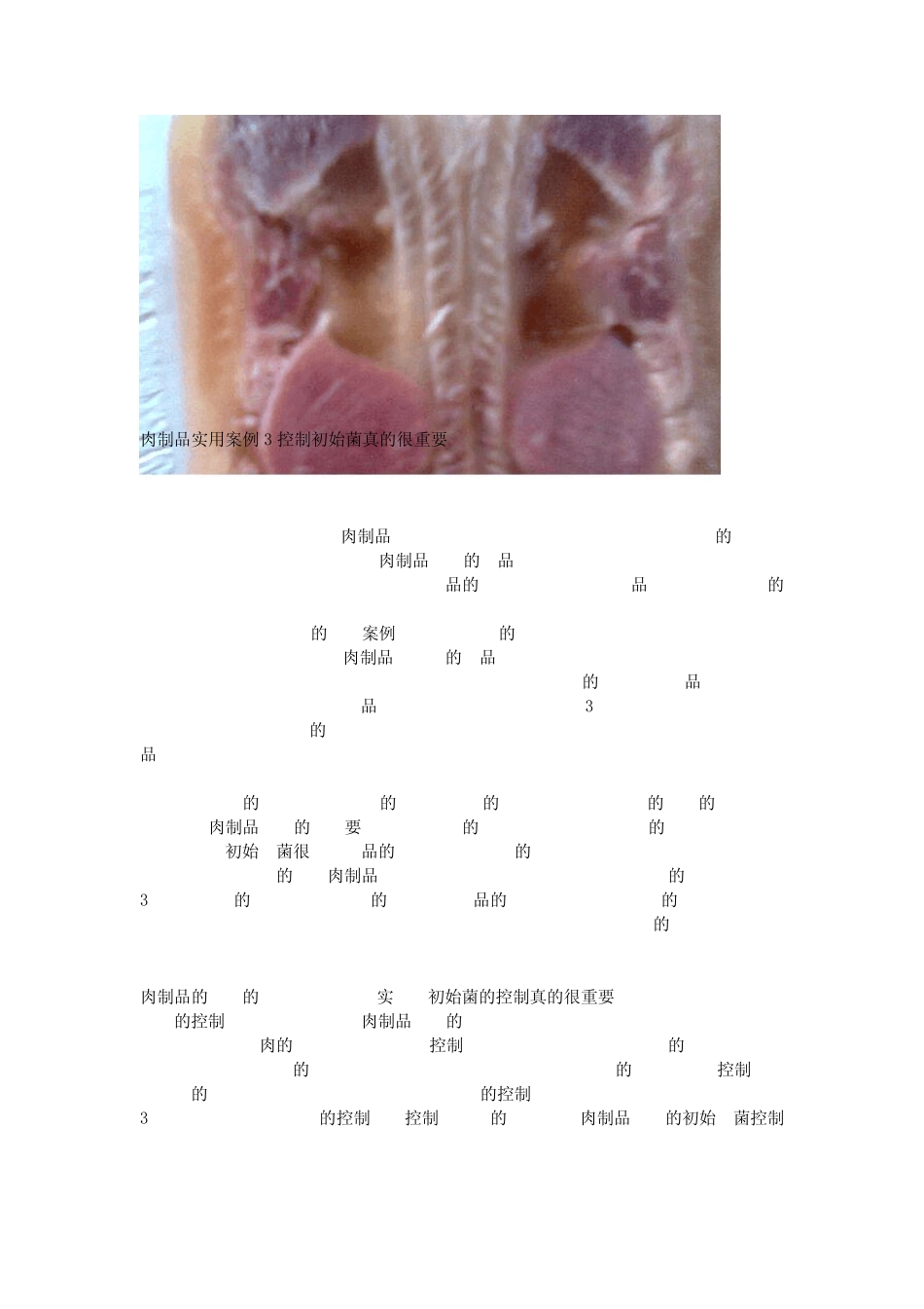 肉制品加工技术实用案例集_第3页