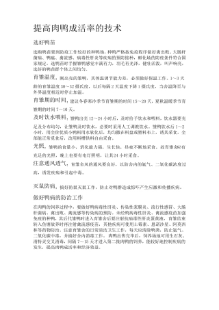 肉鸭药物预防程序