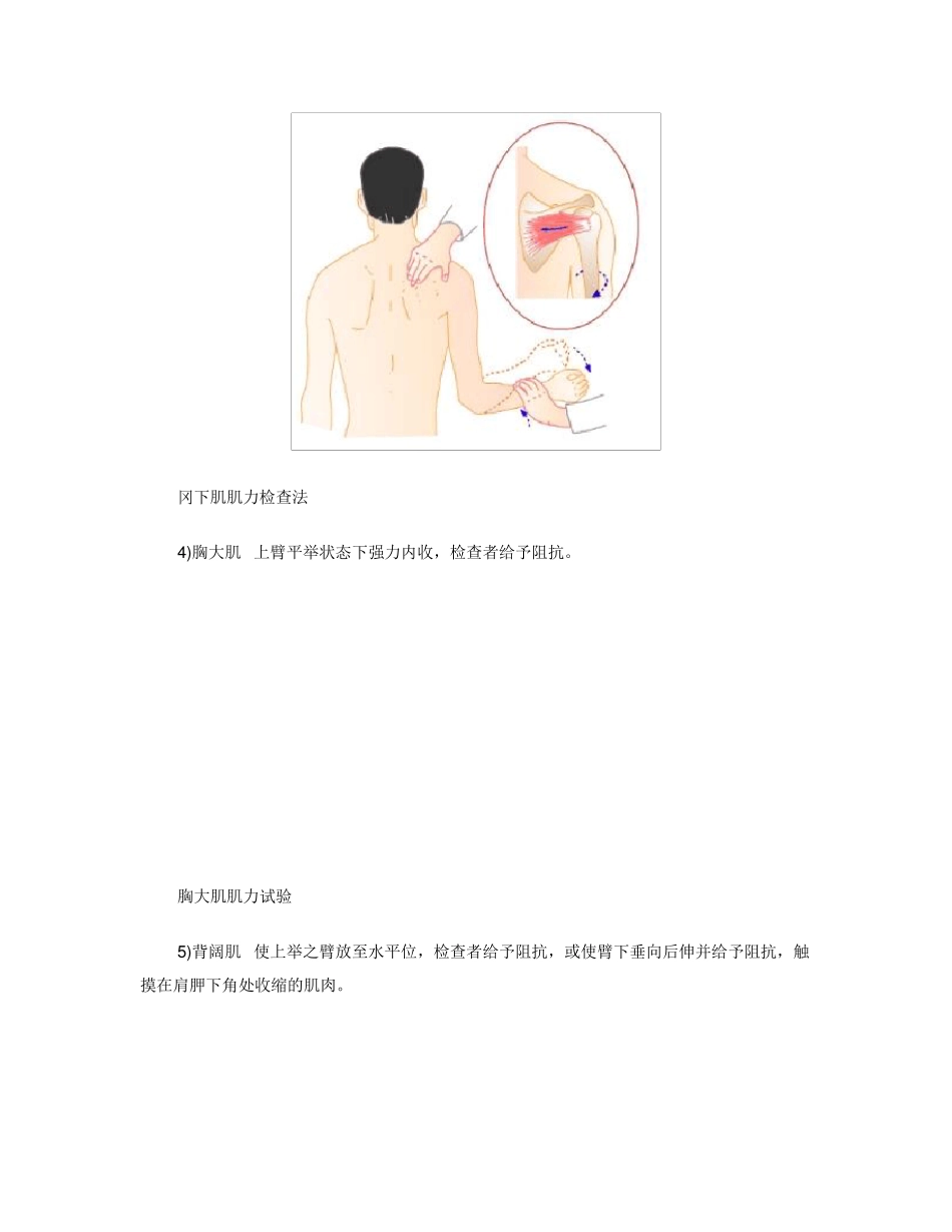 肌力检查方法_第3页