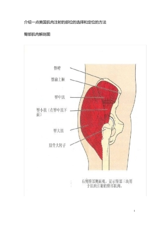 肌肉注射针位置图