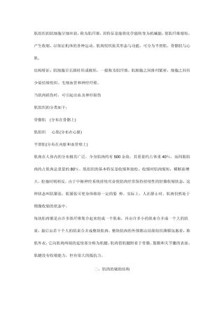 肌肉结构知识