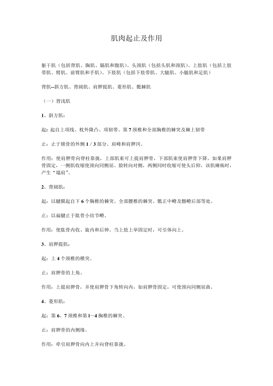 肌肉起止及作用_第1页