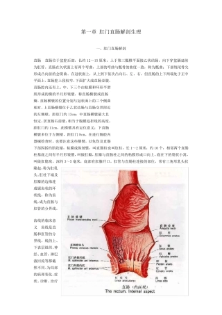 肛门直肠解剖生理