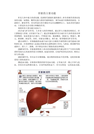肝脏及清素主要机理
