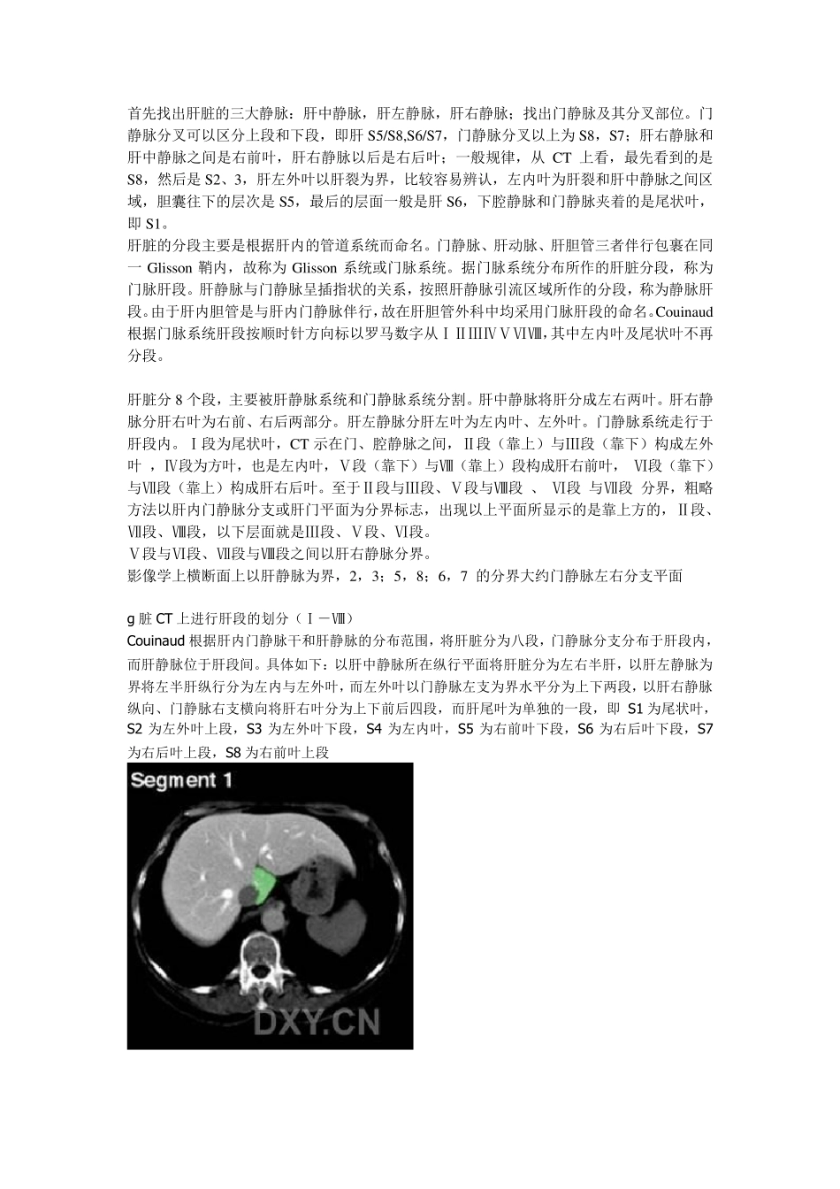 肝脏的CT分段_第1页