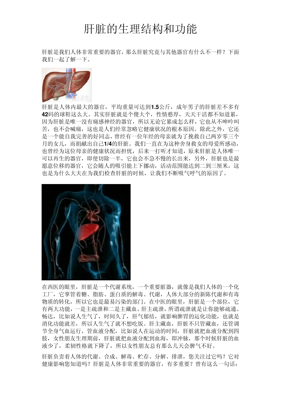 肝脏的生理结构和功能_第1页