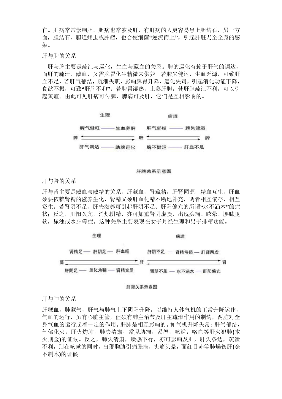 肝脏的生理结构和功能_第3页
