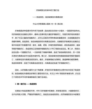 肝衰竭发生过程中的三重打击学说