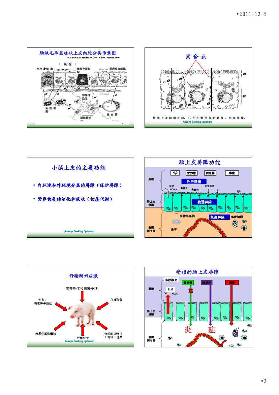肠道上皮的组织形态与营养调控_第2页