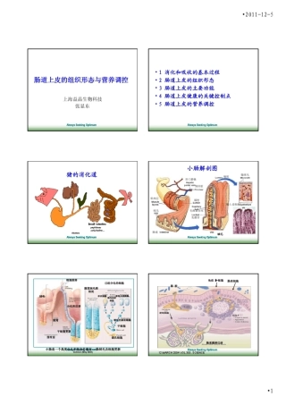 肠道上皮的组织形态与营养调控