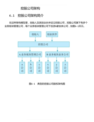 股权架构设计实操控股公司架构