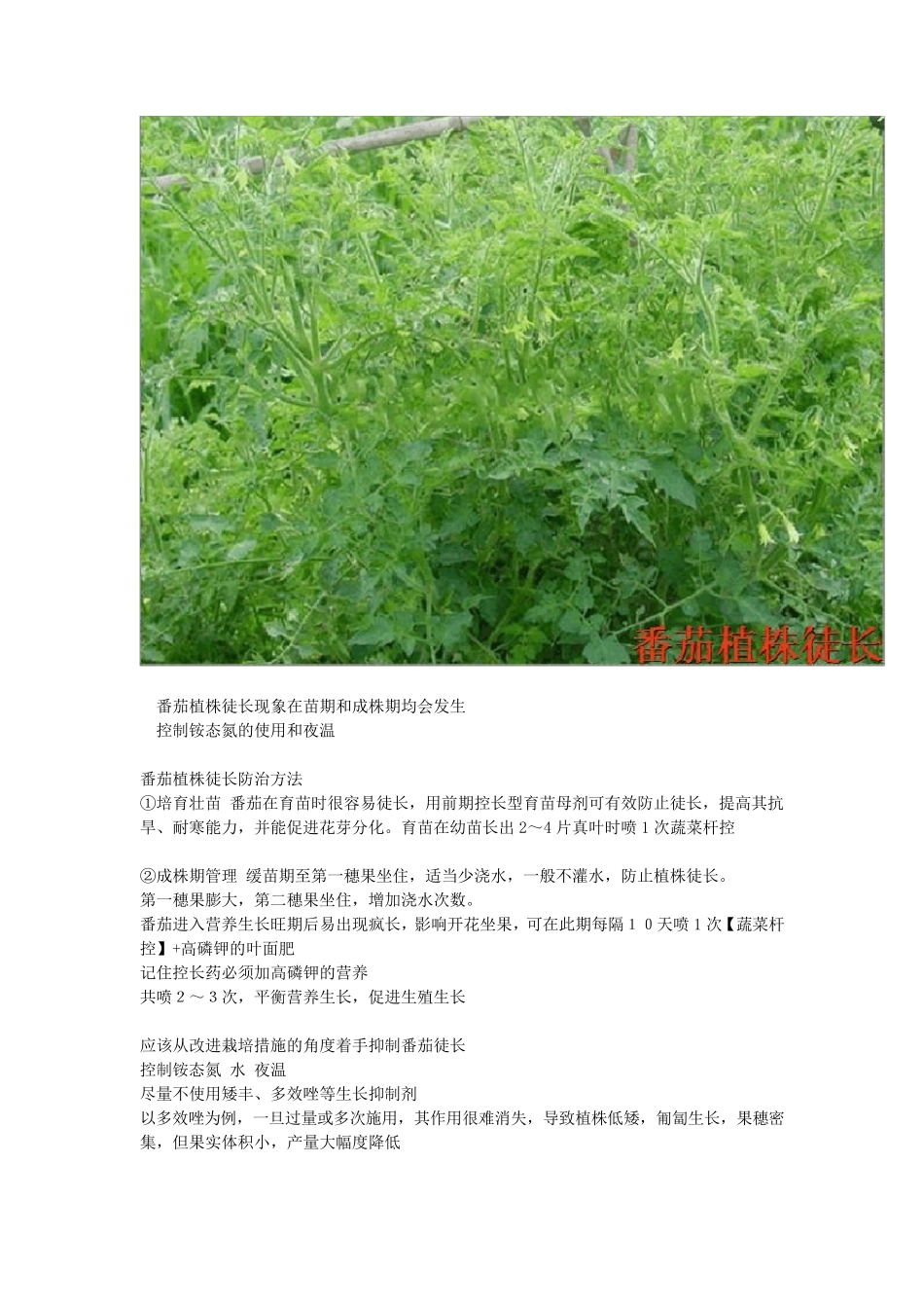 肥料的种类和用途_第2页