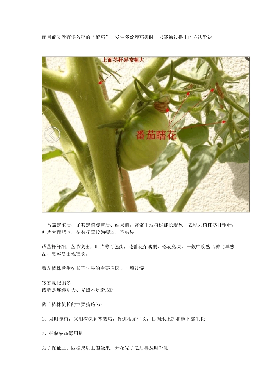 肥料的种类和用途_第3页