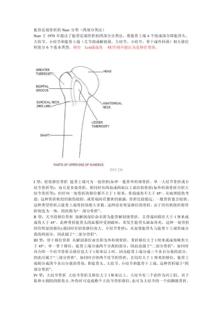 肩关节neer分型