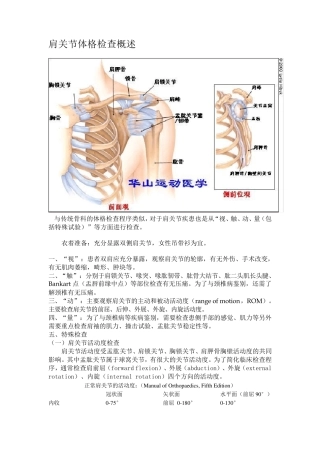 肩关节相关体格检查
