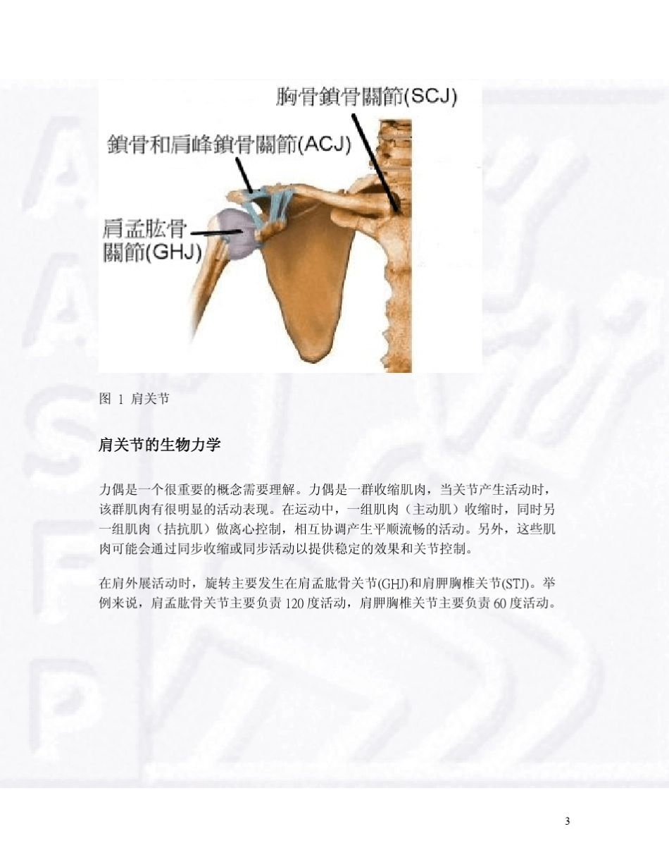 肩部训练的有效方法_第3页