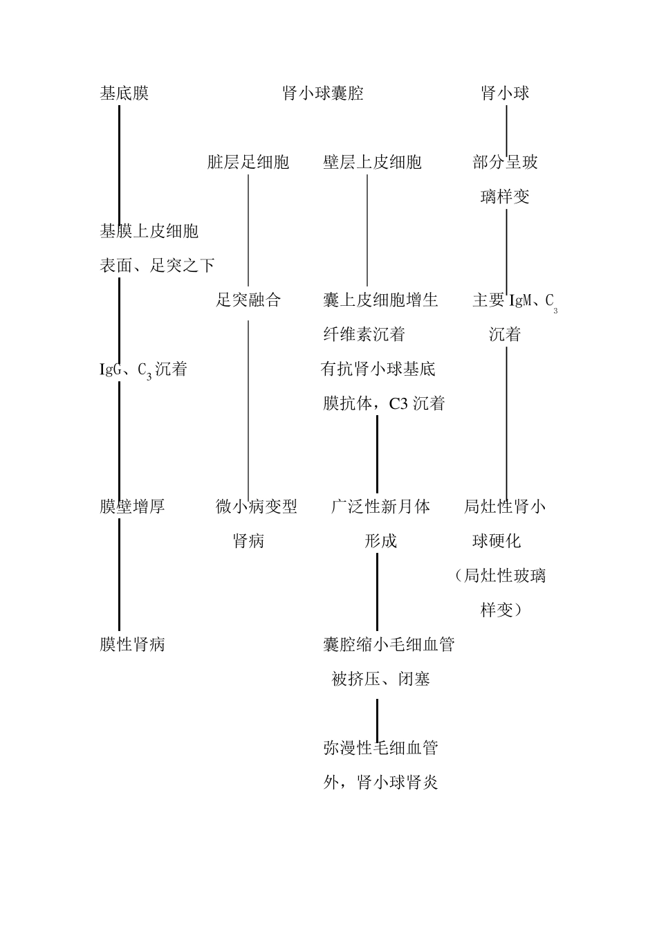 肾小球疾病的病理变化及分型_第2页