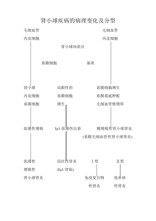 肾小球疾病的病理变化及分型