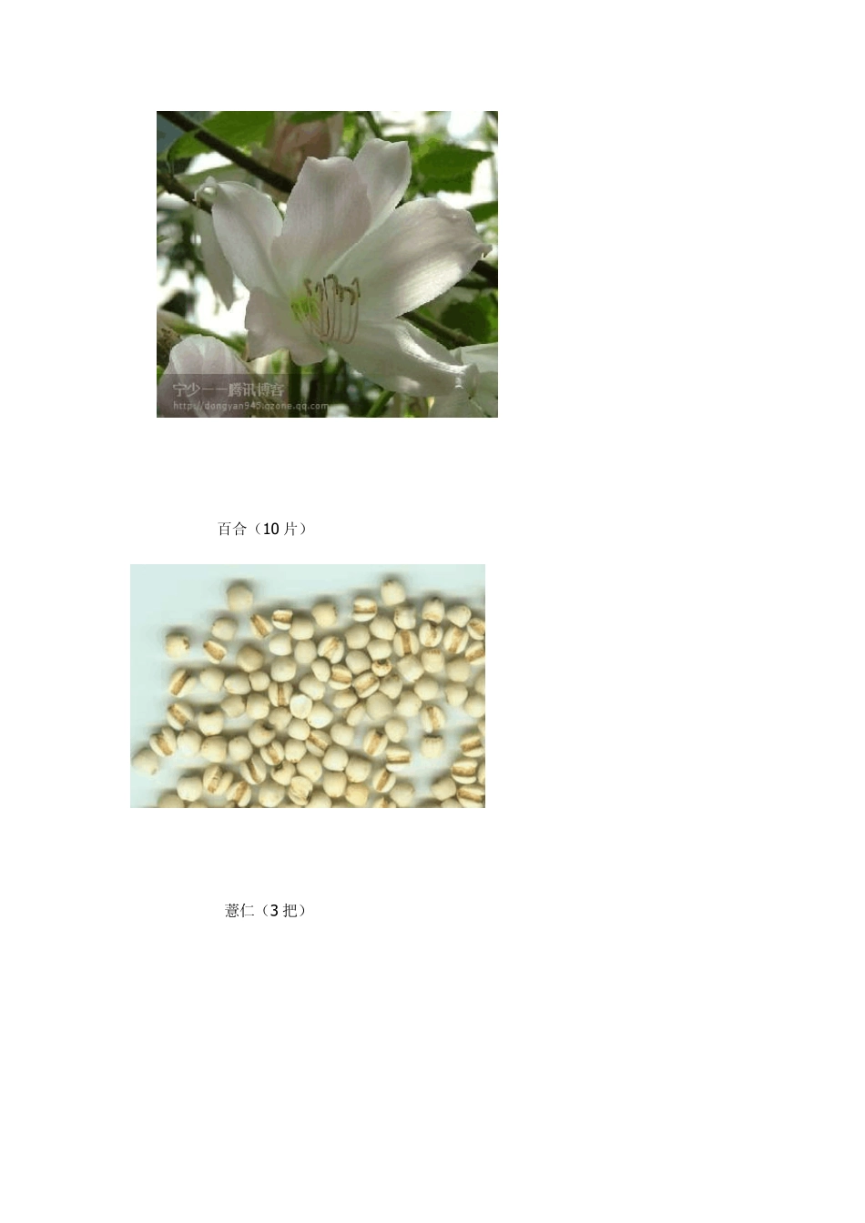 肾有多好人就有多年轻——男女通用(补肾益气强身)_第3页