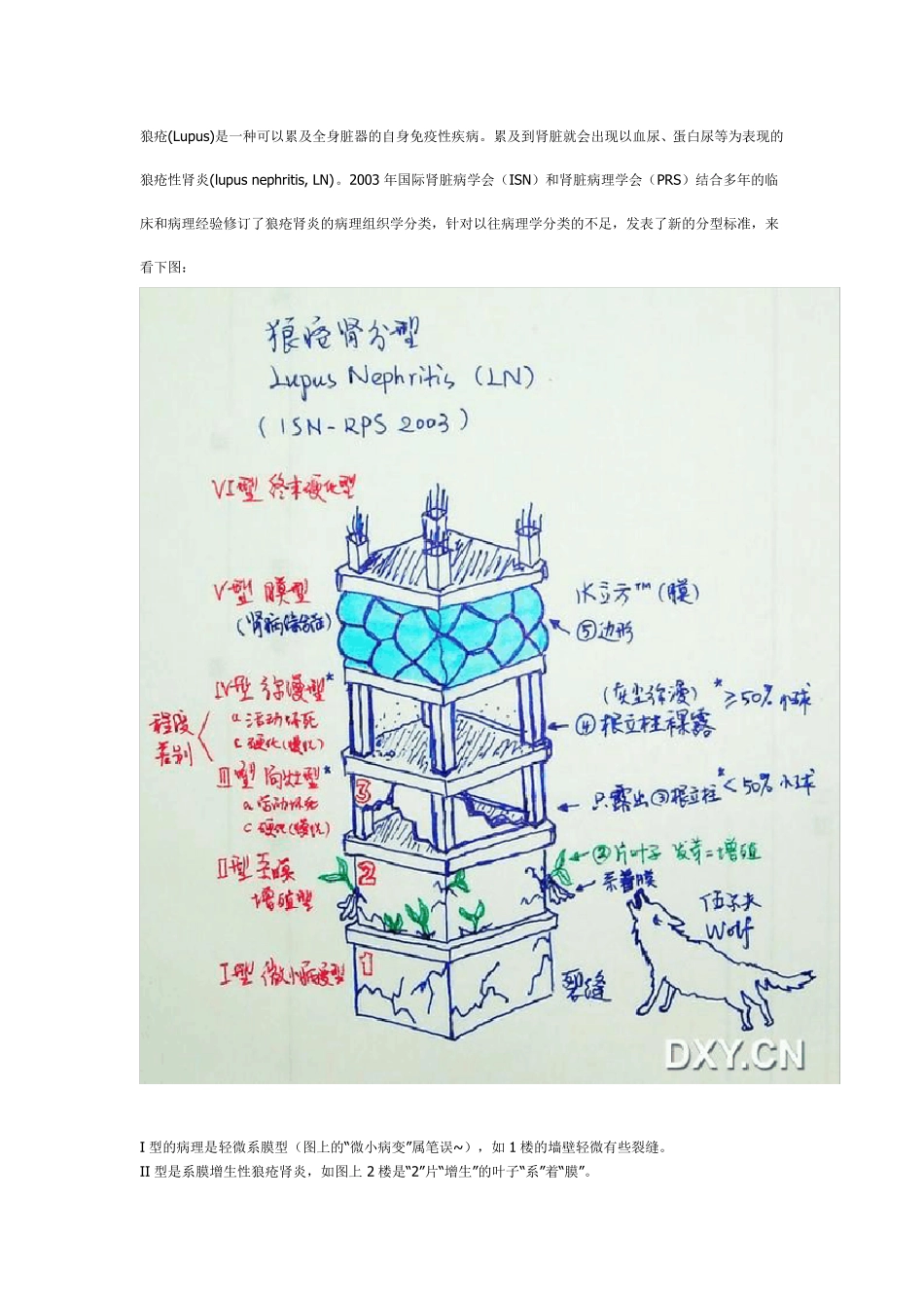 肾脏病理图片详解_第1页