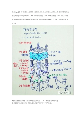 肾脏病理图片详解