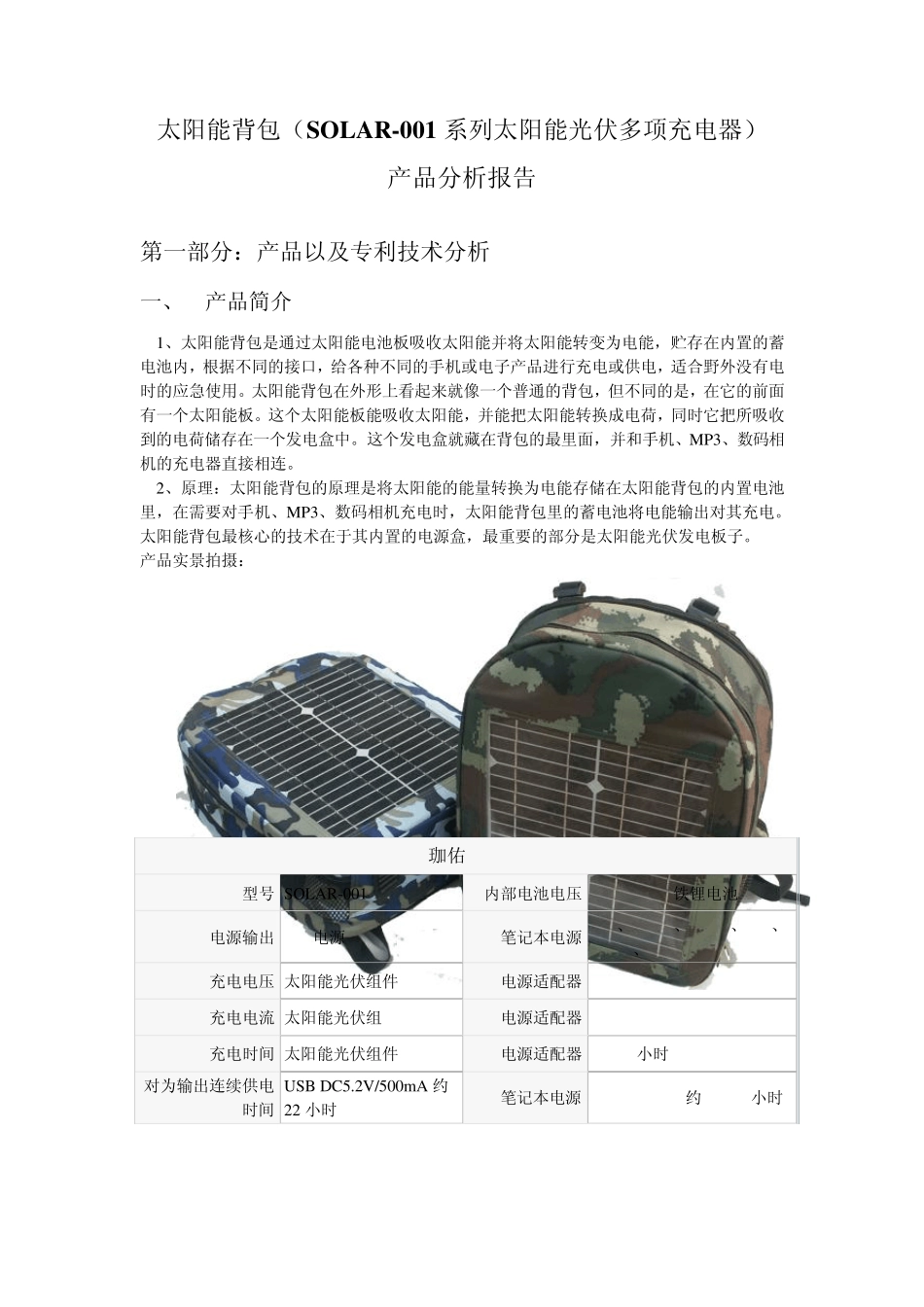 背包项目可行性分析_第1页