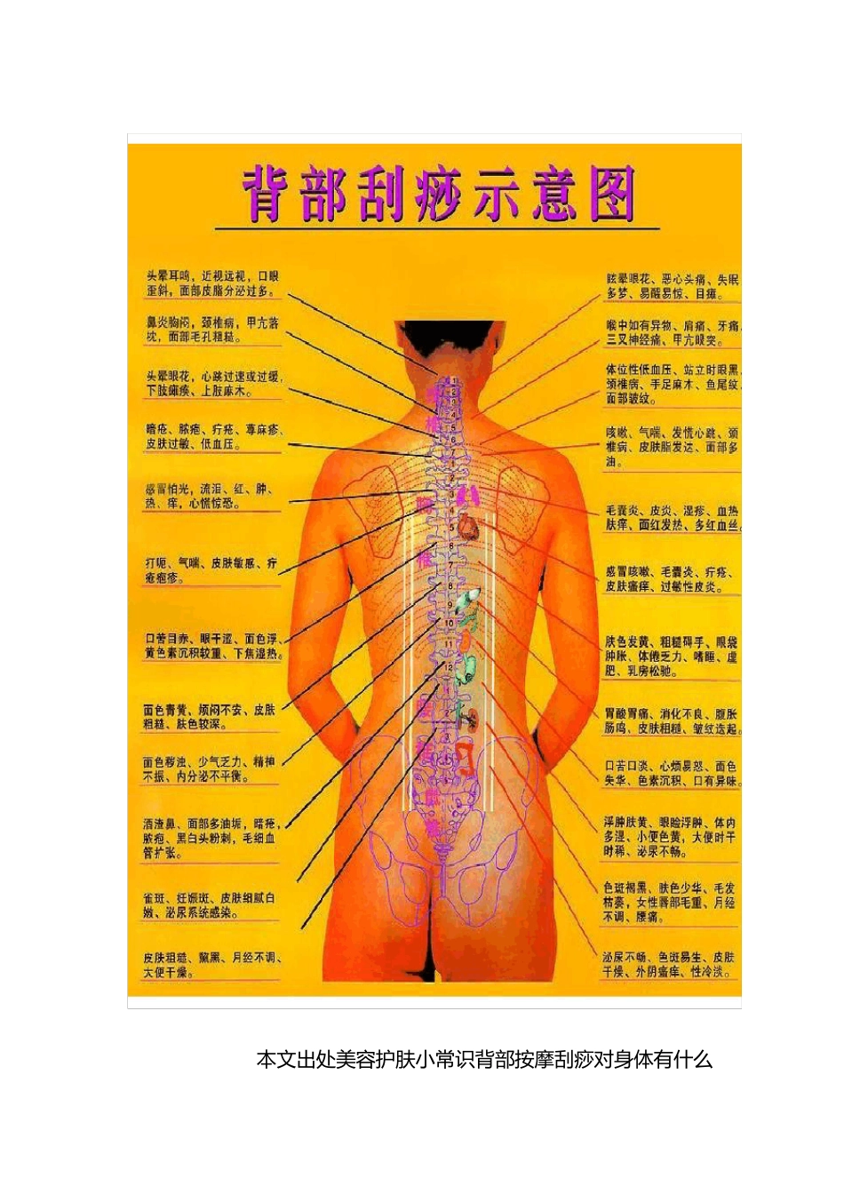 背部刮痧方法和反射区_第1页
