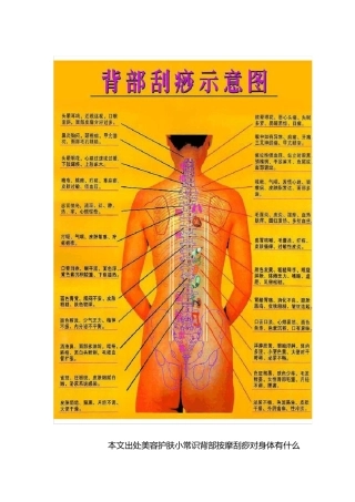 背部刮痧方法和反射区